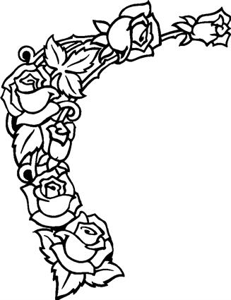 roses31