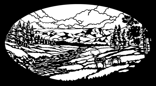 mnt-stream-deer