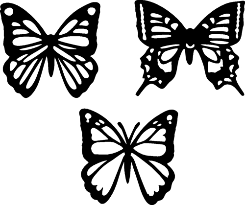 butterfly04