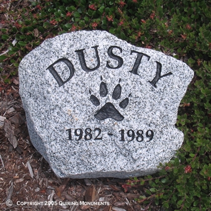 pet-wp-007-photo.2.jpg
