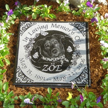 pet-wp-010-photo.2.jpg